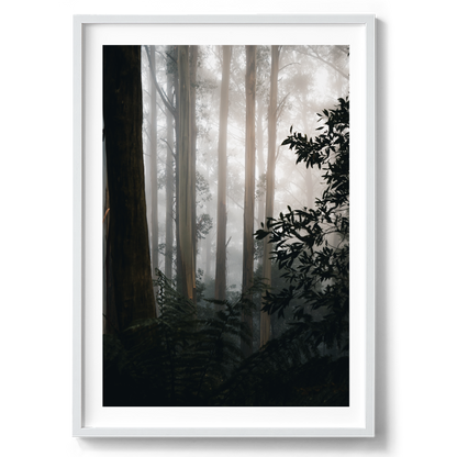 The Painted Forest - Victoria - Wall Art