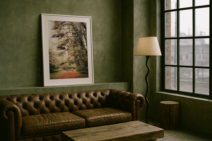 Warburton Redwood Forest - Wall Art