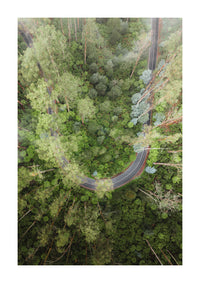 Black Spur Drive Aerial - Narbethong - Wall Art — Blankwall preview artwork